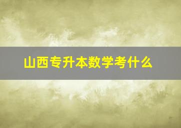 山西专升本数学考什么