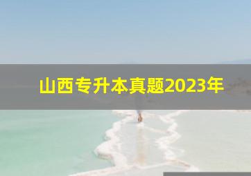 山西专升本真题2023年