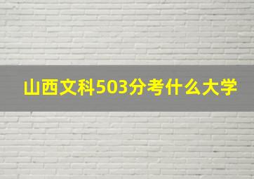 山西文科503分考什么大学