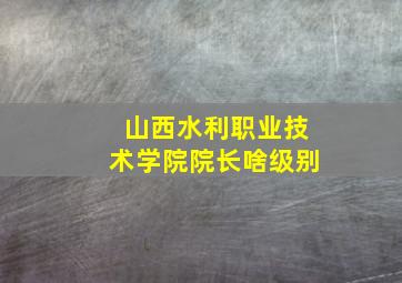 山西水利职业技术学院院长啥级别