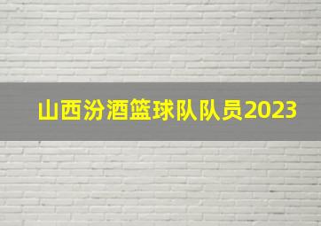 山西汾酒篮球队队员2023