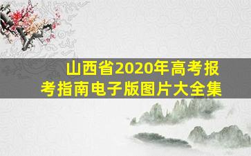 山西省2020年高考报考指南电子版图片大全集