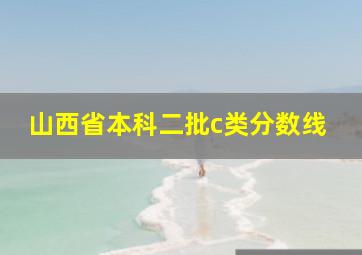 山西省本科二批c类分数线