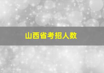 山西省考招人数