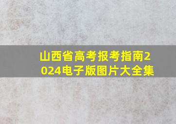 山西省高考报考指南2024电子版图片大全集