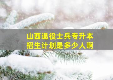 山西退役士兵专升本招生计划是多少人啊