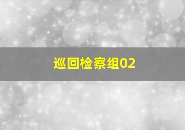 巡回检察组02