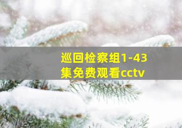 巡回检察组1-43集免费观看cctv