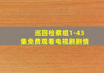 巡回检察组1-43集免费观看电视剧剧情