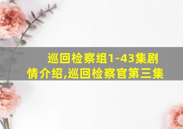 巡回检察组1-43集剧情介绍,巡回检察官第三集