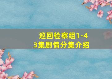 巡回检察组1-43集剧情分集介绍