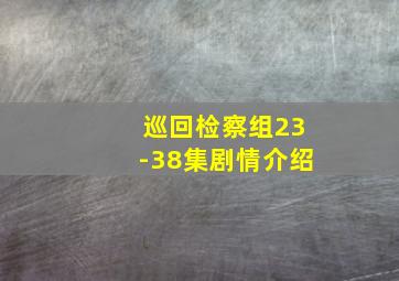 巡回检察组23-38集剧情介绍