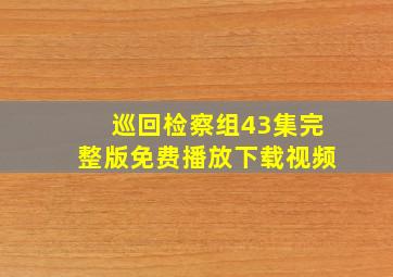 巡回检察组43集完整版免费播放下载视频