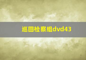 巡回检察组dvd43