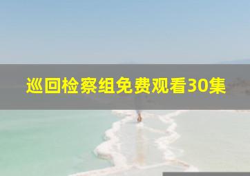 巡回检察组免费观看30集