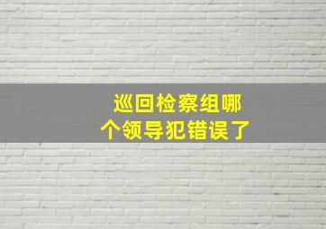 巡回检察组哪个领导犯错误了