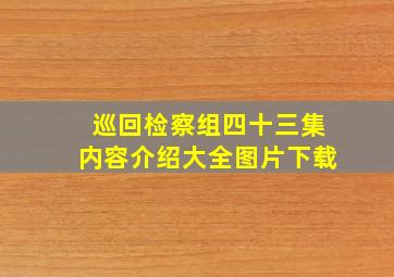 巡回检察组四十三集内容介绍大全图片下载