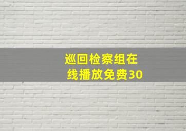 巡回检察组在线播放免费30