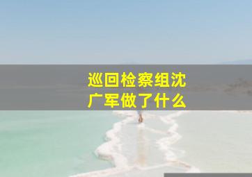 巡回检察组沈广军做了什么