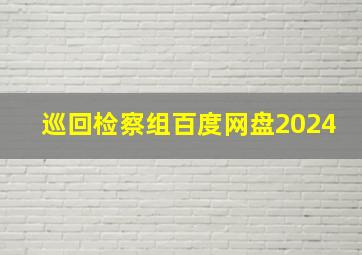 巡回检察组百度网盘2024