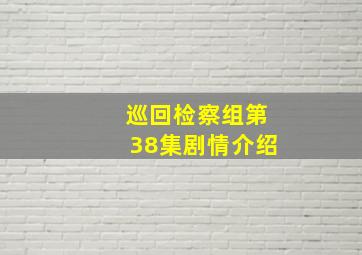 巡回检察组第38集剧情介绍