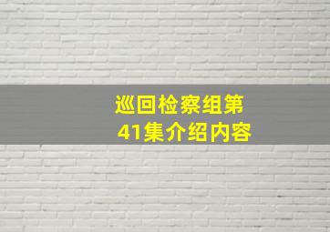 巡回检察组第41集介绍内容