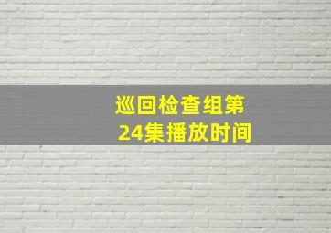 巡回检查组第24集播放时间