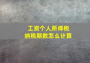 工资个人所得税纳税期数怎么计算