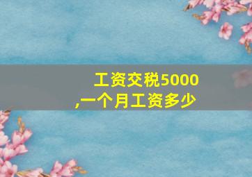 工资交税5000,一个月工资多少