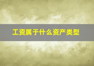 工资属于什么资产类型