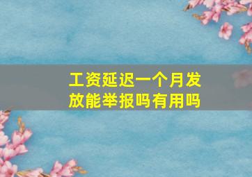 工资延迟一个月发放能举报吗有用吗