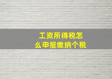 工资所得税怎么申报缴纳个税