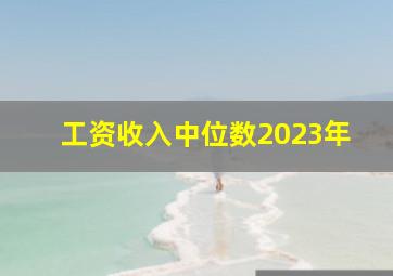 工资收入中位数2023年