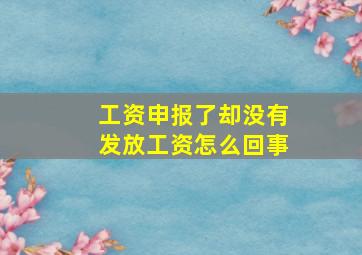 工资申报了却没有发放工资怎么回事