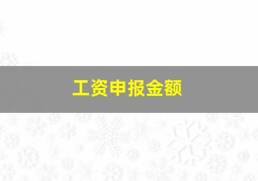 工资申报金额