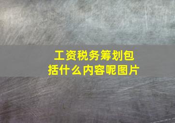 工资税务筹划包括什么内容呢图片