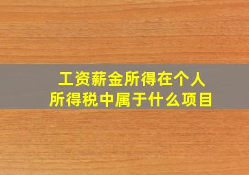 工资薪金所得在个人所得税中属于什么项目