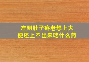 左侧肚子疼老想上大便还上不出来吃什么药