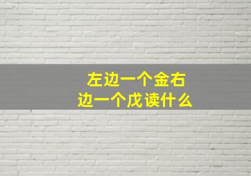 左边一个金右边一个戊读什么