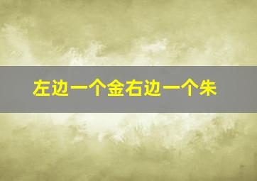 左边一个金右边一个朱