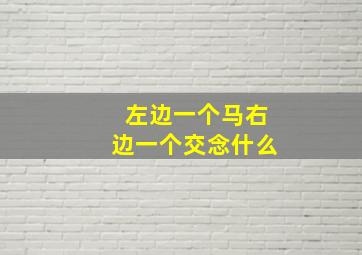 左边一个马右边一个交念什么