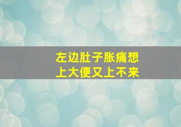 左边肚子胀痛想上大便又上不来