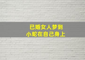 已婚女人梦到小蛇在自己身上