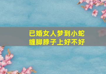 已婚女人梦到小蛇缠脚脖子上好不好