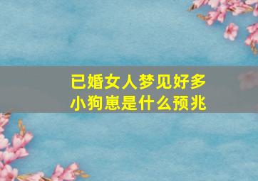 已婚女人梦见好多小狗崽是什么预兆