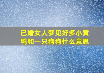 已婚女人梦见好多小黄鸭和一只狗狗什么意思