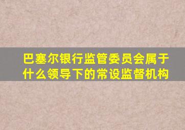 巴塞尔银行监管委员会属于什么领导下的常设监督机构