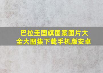 巴拉圭国旗图案图片大全大图集下载手机版安卓