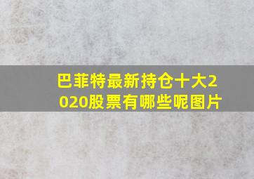 巴菲特最新持仓十大2020股票有哪些呢图片