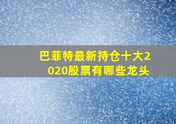 巴菲特最新持仓十大2020股票有哪些龙头